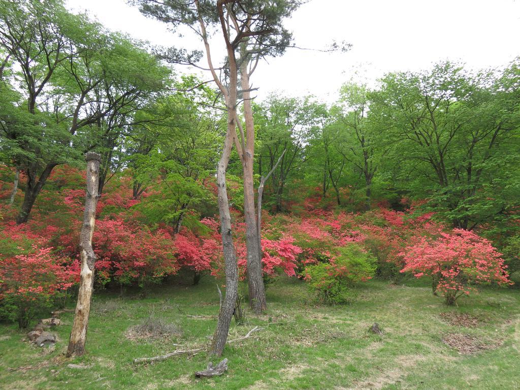 Nikko Pension L'Escale Екстер'єр фото