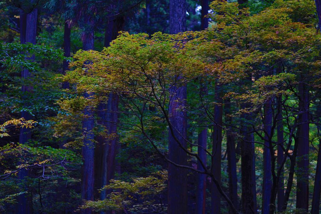 Nikko Pension L'Escale Екстер'єр фото