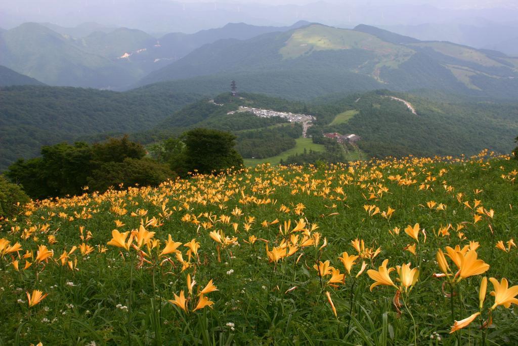 Nikko Pension L'Escale Екстер'єр фото